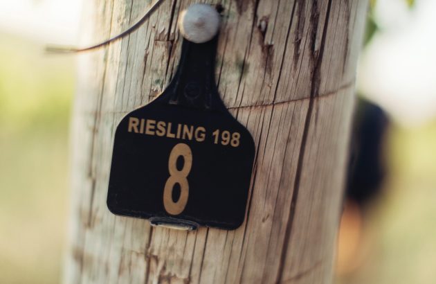 Australian Riesling: small but mighty