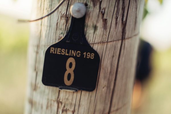 Australian Riesling: small but mighty