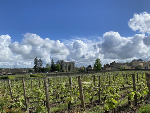 Bordeaux 2024 en primeur: Saint-Émilion produces ‘vintage-transcending wines’