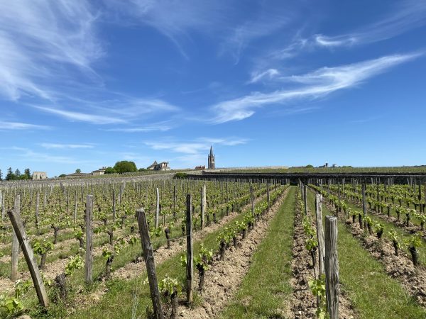 Floodgates open on en primeur releases – some priced at a ten-year low