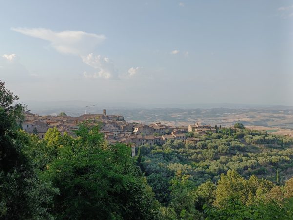 Rosso di Montalcino: no longer in the shadow of Brunello