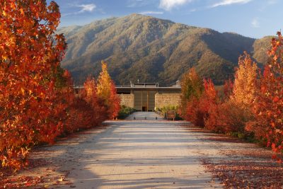 La place’s spring collection 2026: additional tasting notes