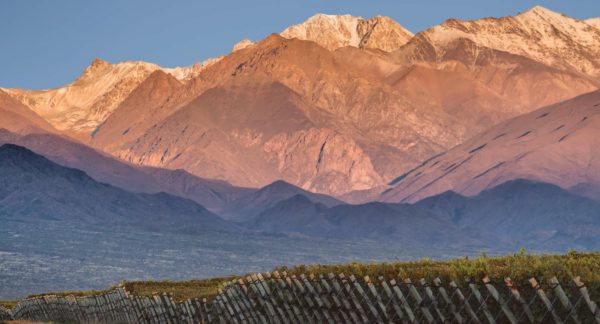 More untapped potential from Argentina you can’t afford to miss