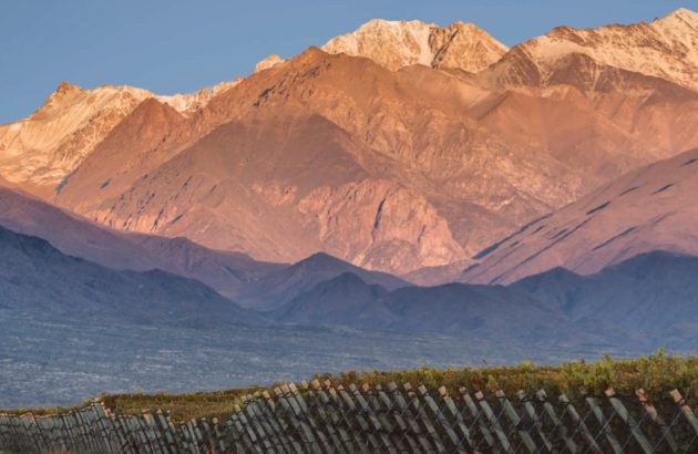 More untapped potential from Argentina you can’t afford to miss