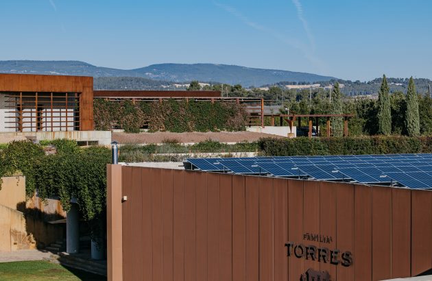 Inside Familia Torres’ drive to decarbonise wine