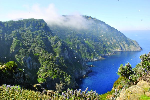 ‘Prison island’ wine contract extended until 2050