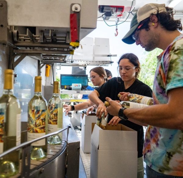 UC Davis launches wines made by students