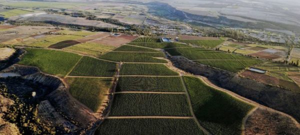 Final Destination: How Chile has played the long game