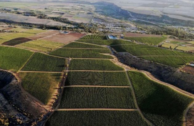 Final Destination: How Chile has played the long game