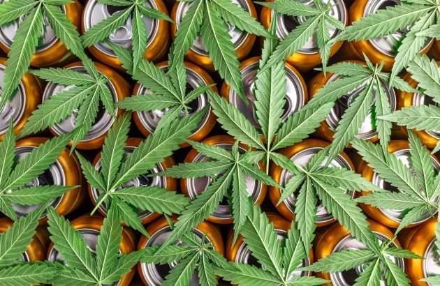 The reason craft brewers are becoming THC drinks producers
