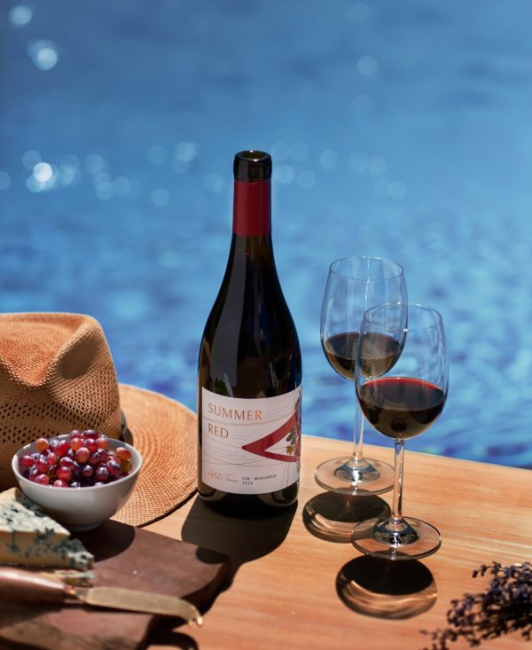 Cabernet Nouveau: the latest innovation in Viña Vik’s A range