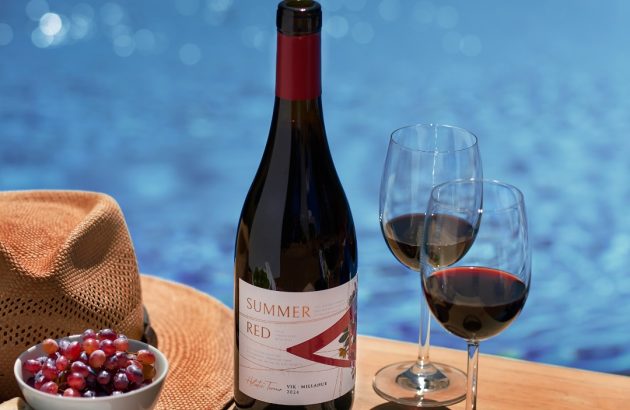 Cabernet Nouveau: the latest innovation in Viña Vik’s A range