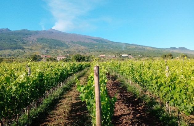 Why Etna’s eruption was not as bad as it looked