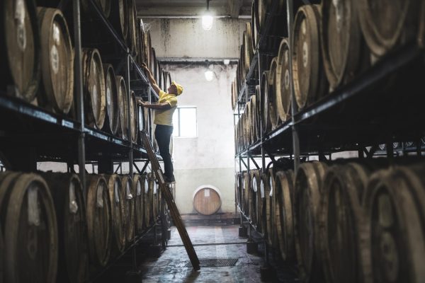 Treasury Wine Estates opens $15 million Barossa facility