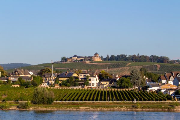 Germany’s first ‘Vinothon’ blends wine, running and scenery in the Rheingau