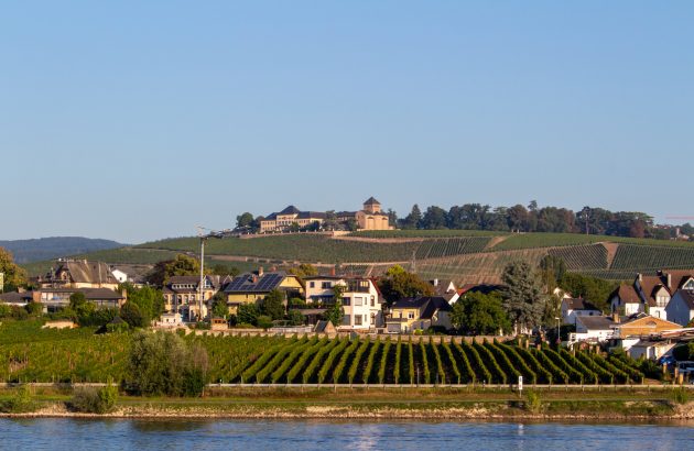 Germany’s first ‘Vinothon’ blends wine, running and scenery in the Rheingau
