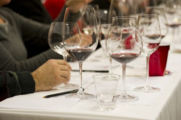 Italia del Vino launches wine business programme