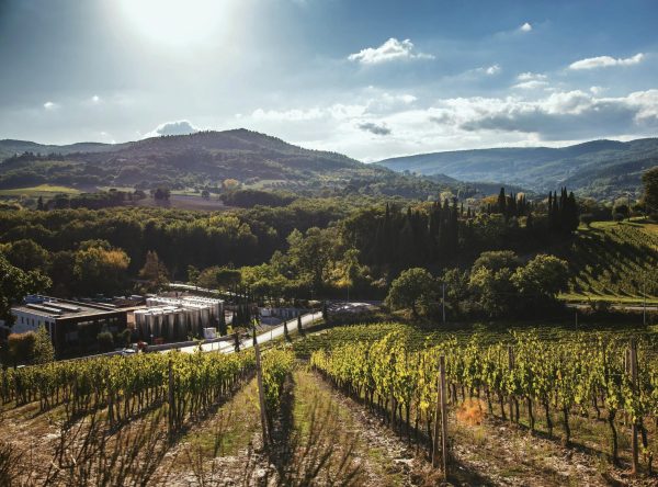 A look at Italian Wine Brands’ Tuscan range