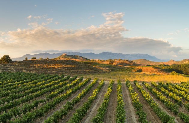 Zamora cuts carbon emissions as Ramón Bilbao marks 100 years