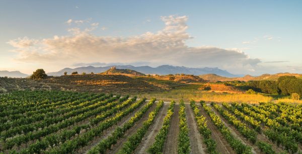 Zamora cuts carbon emissions as Ramón Bilbao marks 100 years