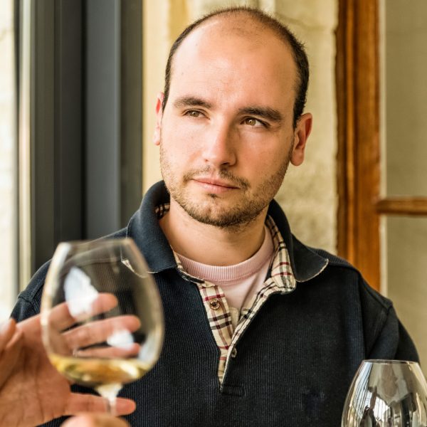 Hugo Drappier: a life in the vineyards