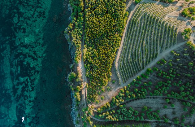 Finca Garbet: four elements combine in an award-winning Syrah