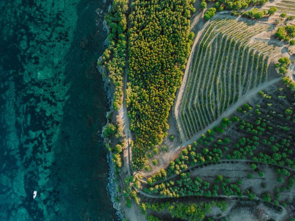 Finca Garbet: four elements combine in an award-winning Syrah