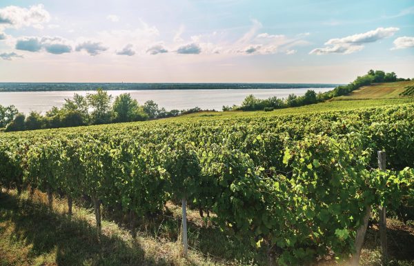 Can Bordeaux bounce back?