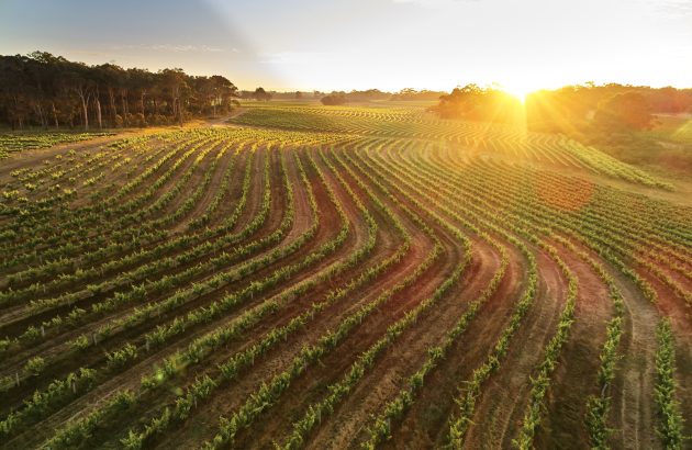 The Australian regions putting fine wines on Thai tables