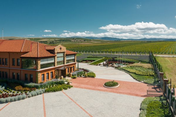 Greek winery Alpha Estate expands with Santorini acquisition