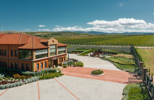 Greek winery Alpha Estate expands with Santorini acquisition