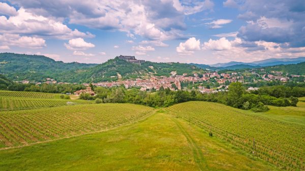 Gavi DOCG reveals its hidden depths