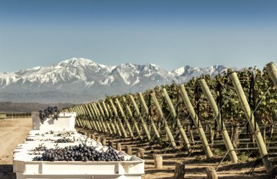 Enter now: The Global Malbec Masters 2026