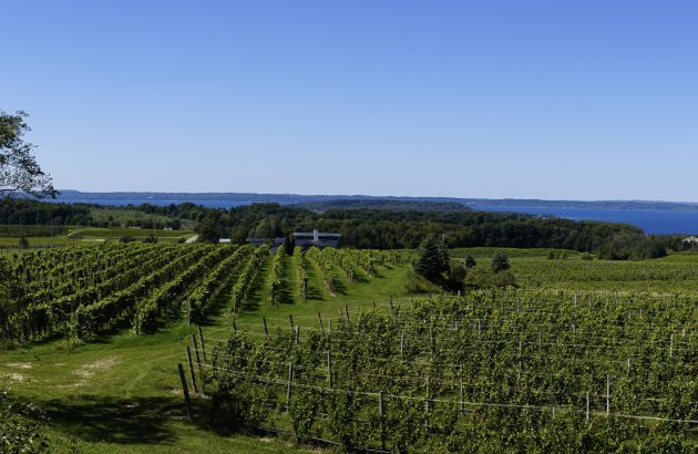 Michigan wineries awarded US$50 million in legal dispute