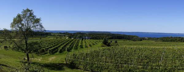 Michigan wineries awarded US$50 million in legal dispute
