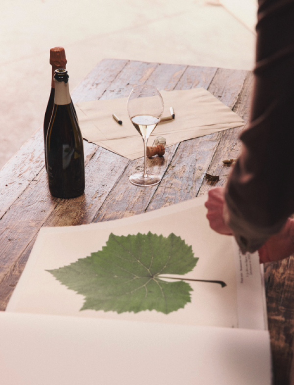 Louis Roederer looks back to face future in Champagne