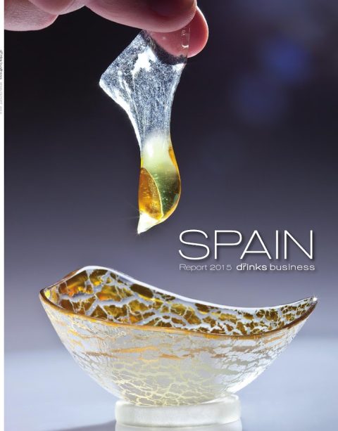 Spain Report 2015