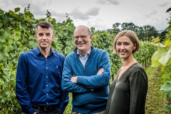 English wine producers ‘optimistic’ for harvest