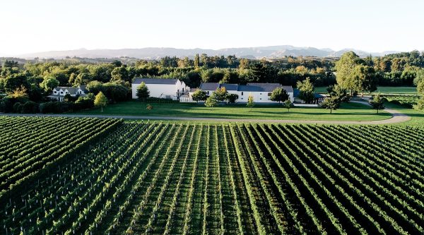 Isabel Estate partners with Shanghai Montrachet to launch in China