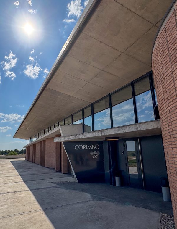 Tempranillo to Tinta del País: Bodegas Roda and La Horra (Part II)