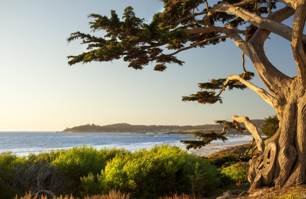 A major trade organisation is disbanding in California