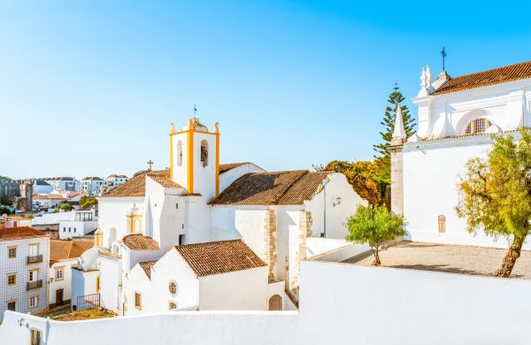 Will Portugal authorise new Defensor grape?