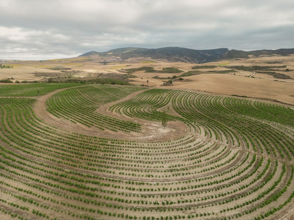 supplied by Anna WOodbridge