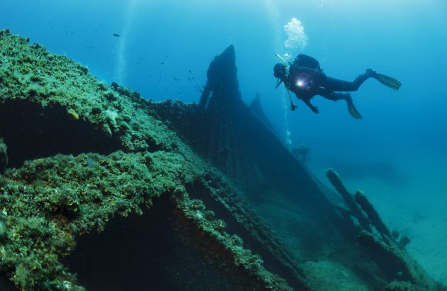 Whisky maker revives rye grain from 1878 shipwreck