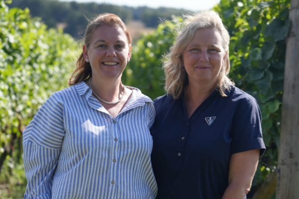 Regenerative Viticulture Foundation launches UK One Block Challenge