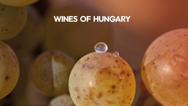 Wines of Hungary readies London for its distinctive wines