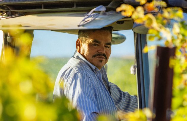 More than 50 Washington wineries now bottling Sustainable WA-certified wines