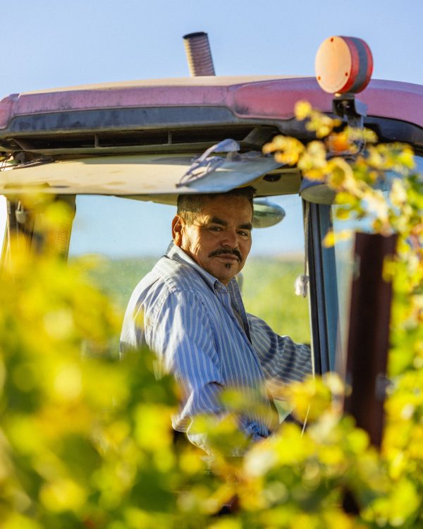 More than 50 Washington wineries now bottling Sustainable WA-certified wines