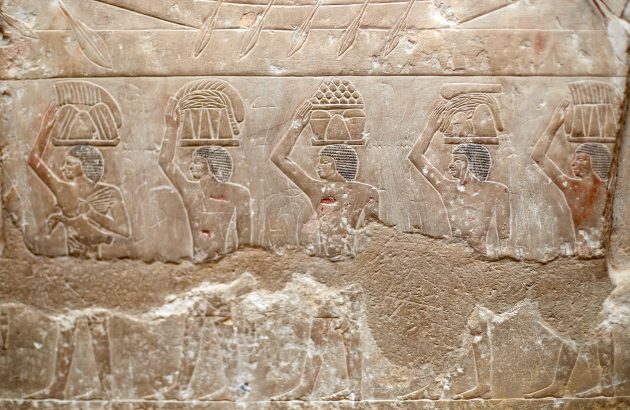 What came first – beer or wine?