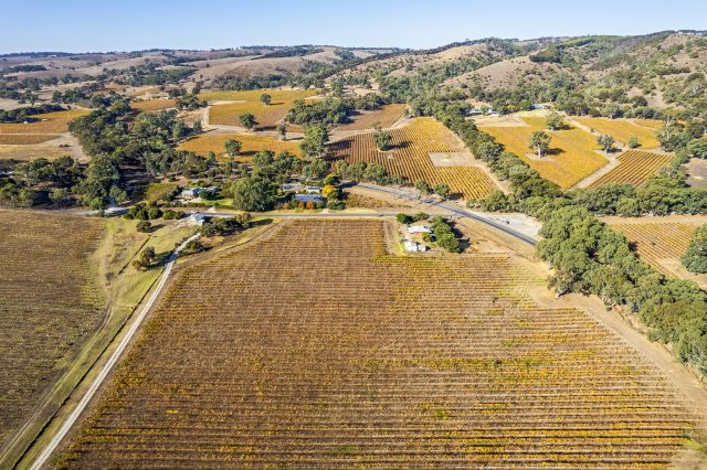 Aerial view picturesque McLaren Flat vineyards on a sunny day with autumn colours, tree-lined country roads, estate buildings and rolling hills in the background.